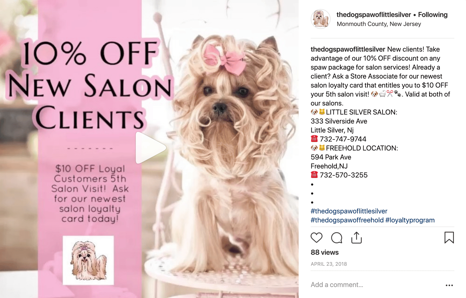 The Dogs Paw of Little Silver - Salon Discount