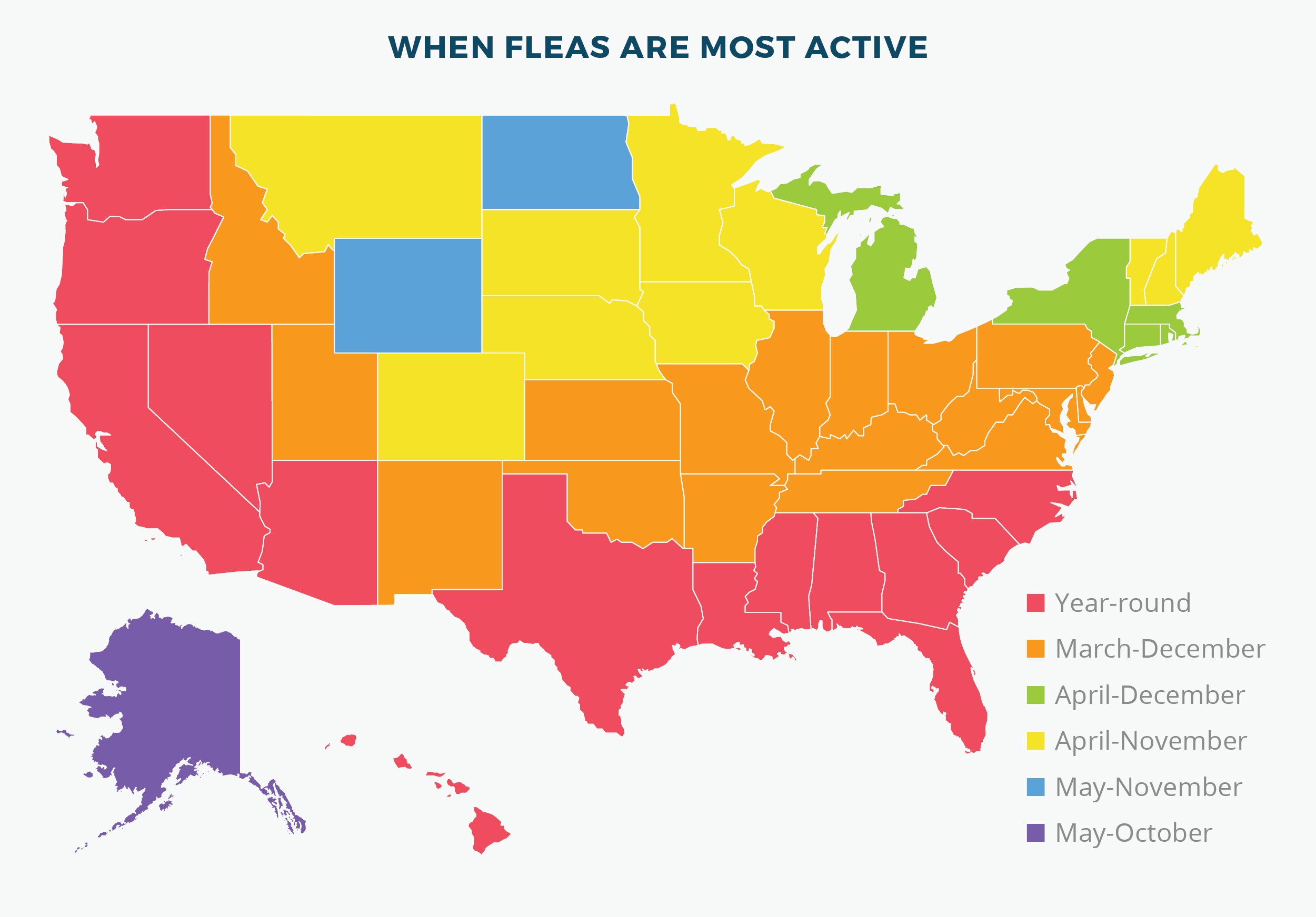 When Fleas are the Most Active