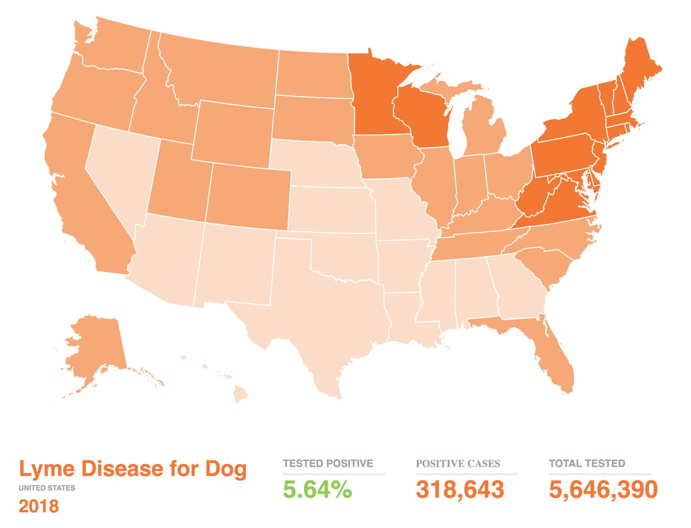 Lyme Map