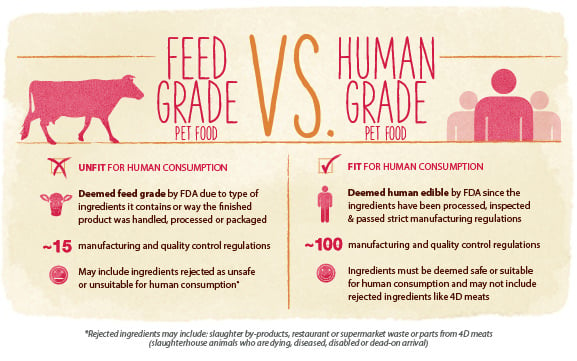 feedgradevshumangrade