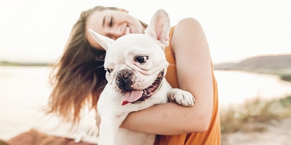 human trends pet industry trends human trends pet industry trends