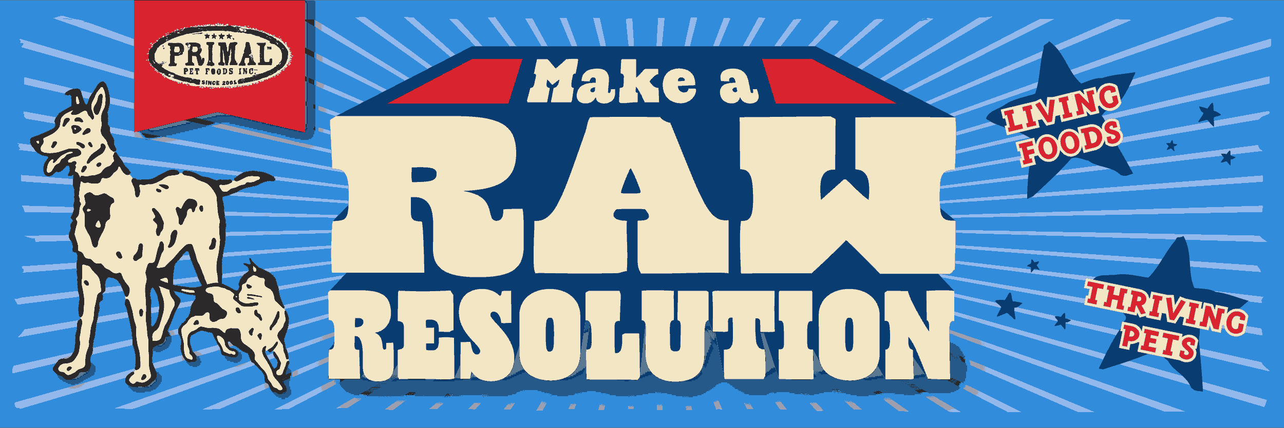 Begin 2019 by Making a Raw Resolution for Your Store