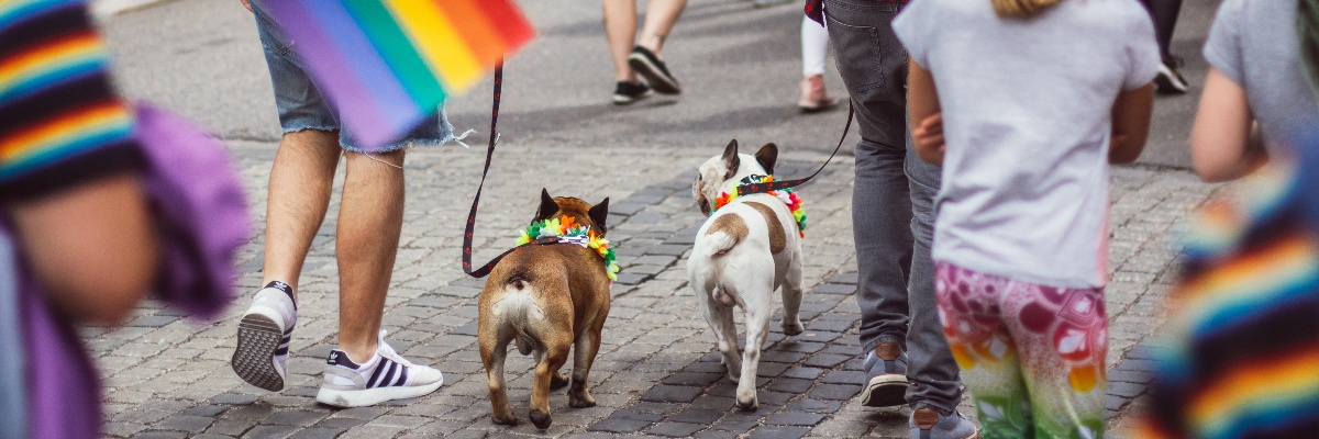 Show Your Pride this June by Celebrating Unconditional Love