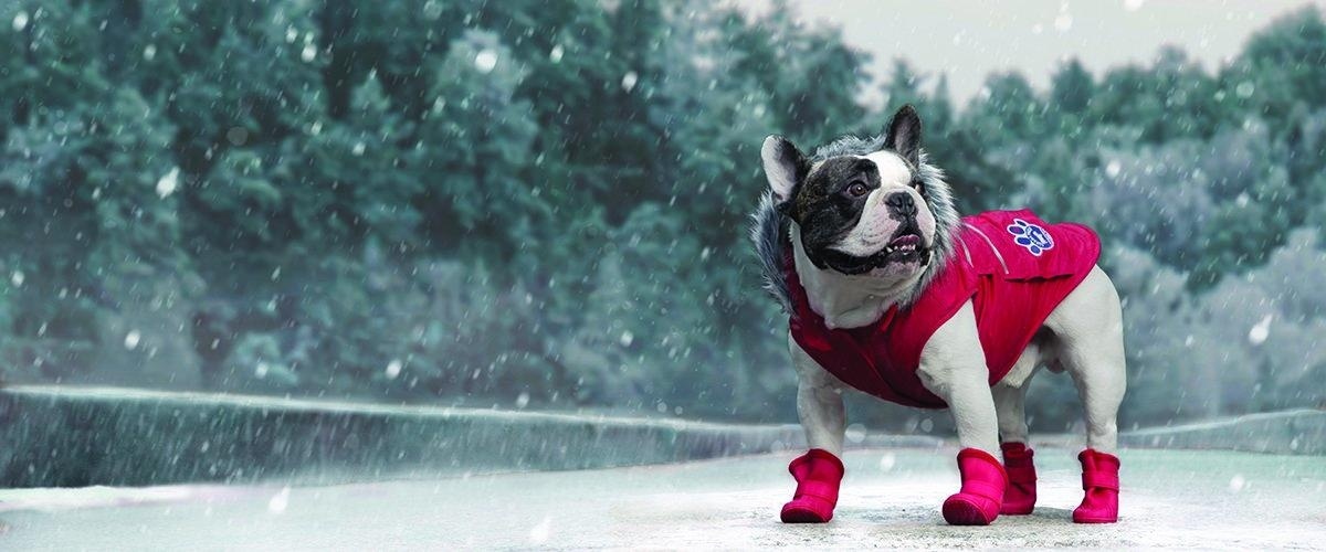 Keep Sales Rising As The Temperature Starts Dropping