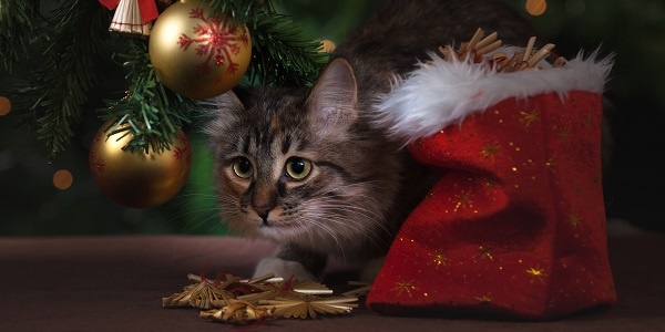 3 Tips for Boosting Holiday Sales