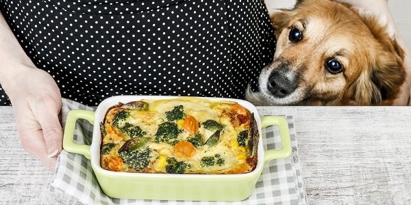 Best and Worst Foods to Share with Dogs