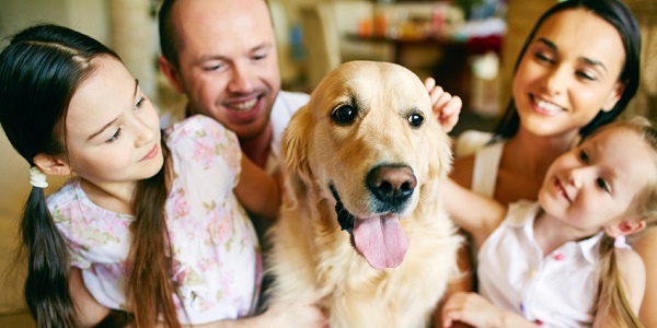 Pet Parents Spent $77 Billion in 2015