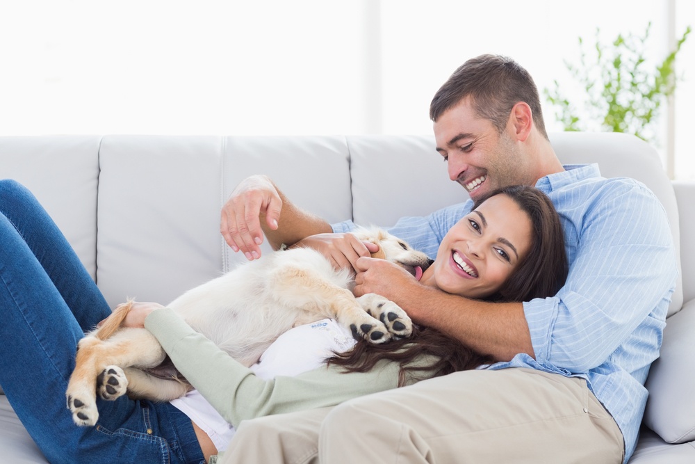 5 Tips for a Pet-Safe Valentine's Day