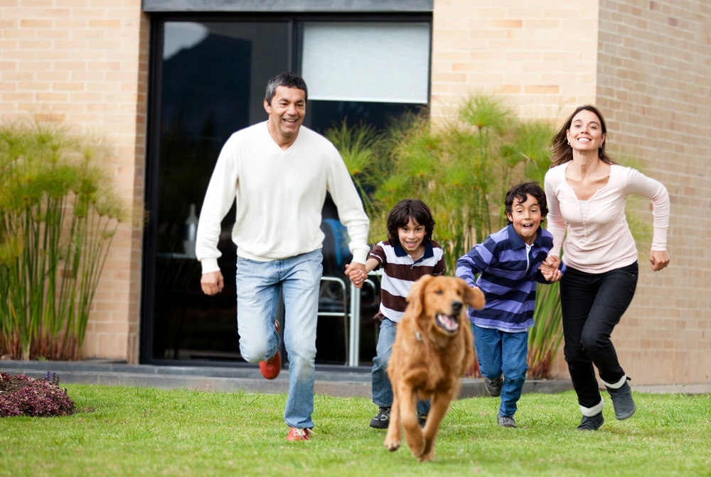 6 Summer Safety Tips for Dogs