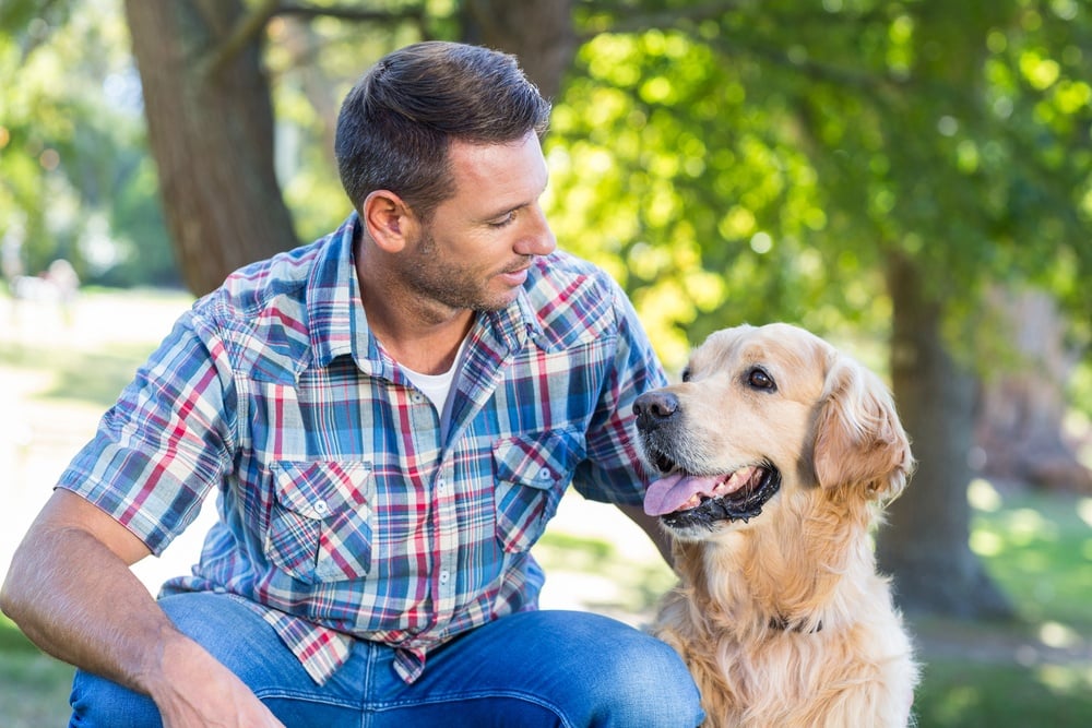 10 Tips for New Dog Owners