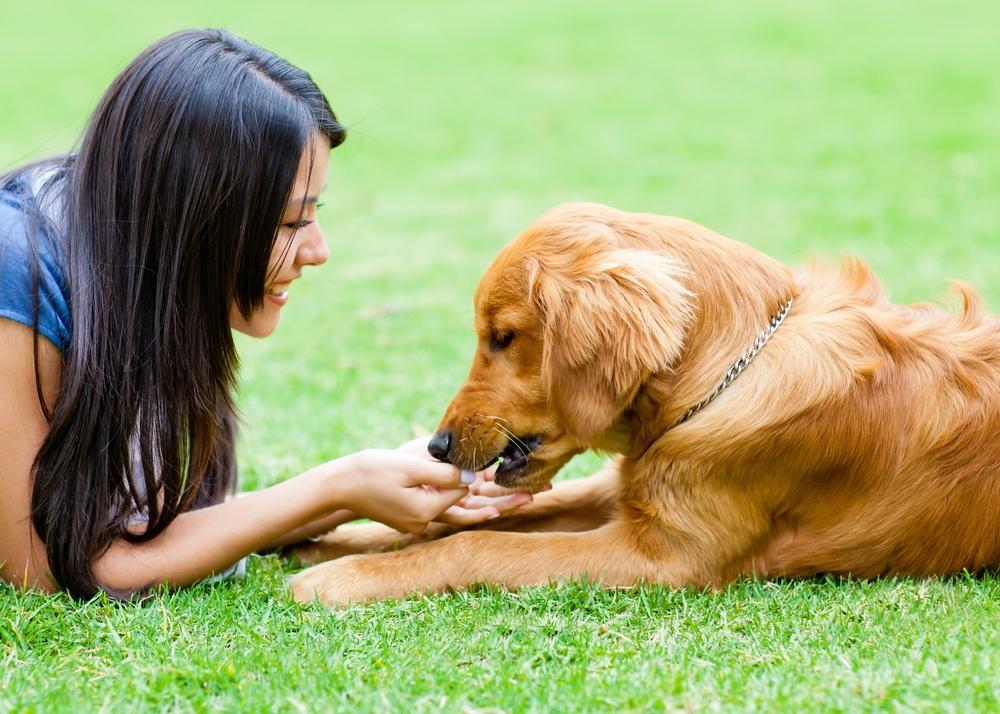 The Rise of Freeze Dried Treats