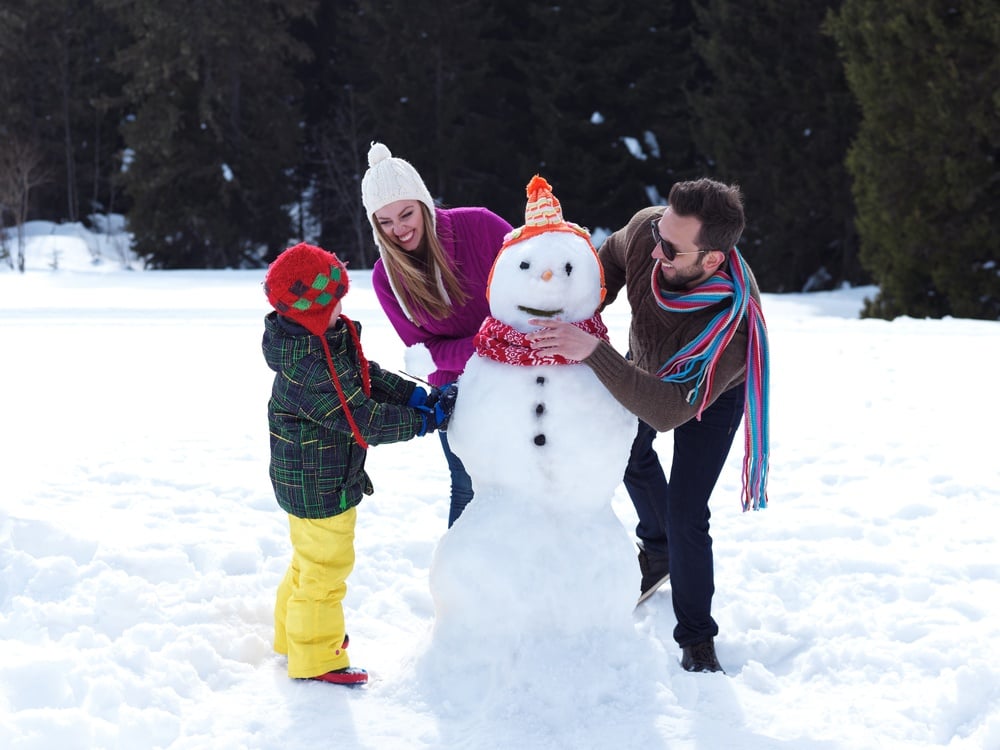 7 Ways to Protect Pets This Winter