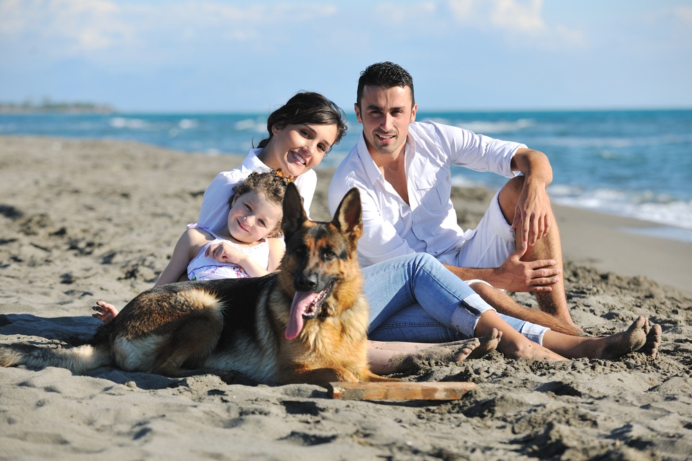 10 Dog-Friendly Travel Destinations