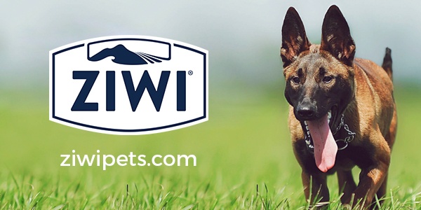 Ziwi: Taste Life in New Zealand