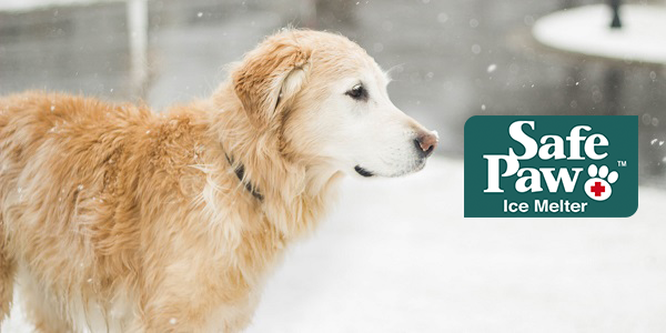Now Available: Safe Paw