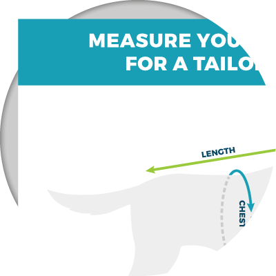 Free Dog Sizing Guide to Hang in You Store