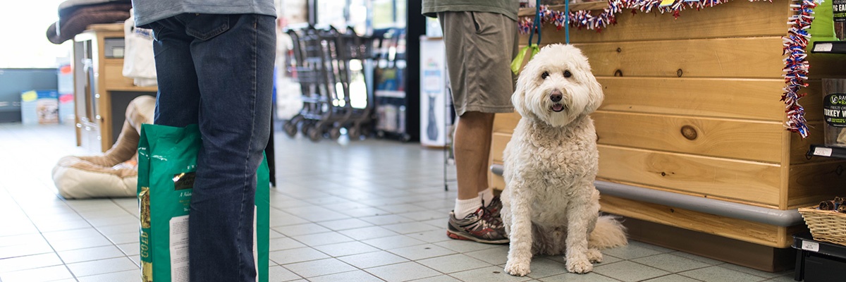 4 Ways Astro Loyalty Can Help Boost Your Business